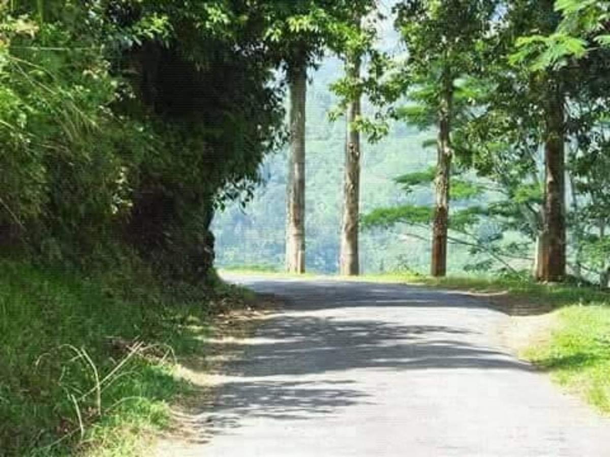 Adannz Bed & Breakfast เอลลา ภายนอก รูปภาพ